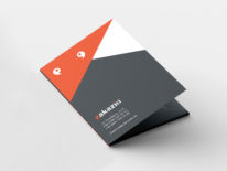 Печать папки в Киеве